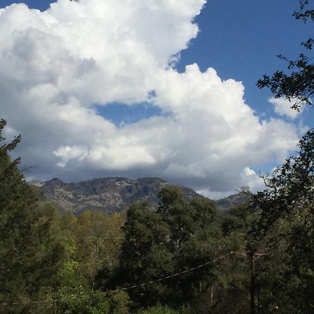 Foothill House Bed and Breakfast Calistoga Εξωτερικό φωτογραφία