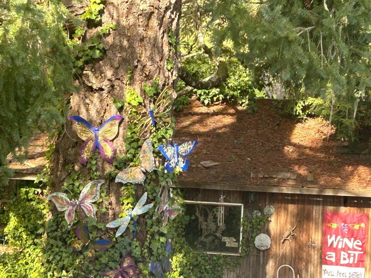 Foothill House Bed and Breakfast Calistoga Εξωτερικό φωτογραφία