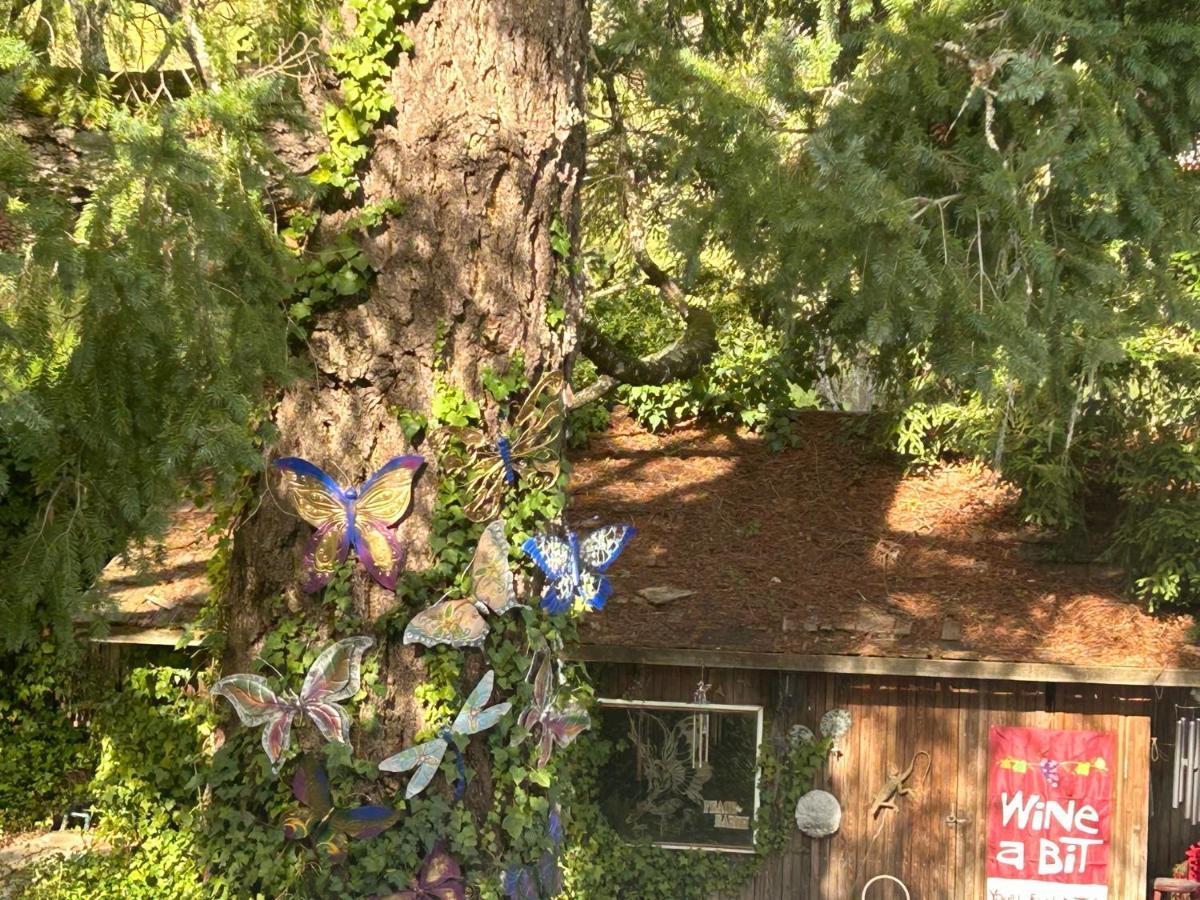 Foothill House Bed and Breakfast Calistoga Εξωτερικό φωτογραφία