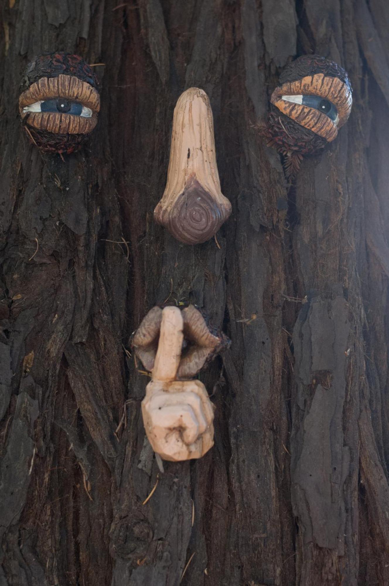 Foothill House Bed and Breakfast Calistoga Εξωτερικό φωτογραφία